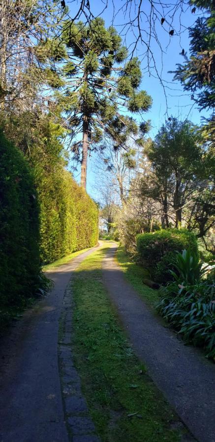 Sitio Nossa Senhora De Loreto Campos do Jordão Eksteriør billede